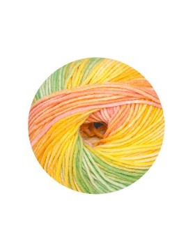 Linie 110 Timona color